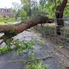 Het noodweer zorgt voor een ravage in het provinciedomein in Huizingen