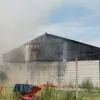 brand_landbouwloods_zemst.jpg