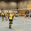 volleywolvertem.jpg