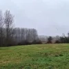 Roosdaal