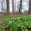 weerfoto Sint-Pieters-Leeuw