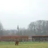 weerfoto Affligem