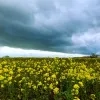 weerfoto Lennik