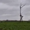 weerfoto Roosdaal