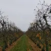 weerfoto Opwijk