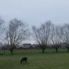 weerfoto Merchtem
