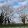 weerfoto Affligem