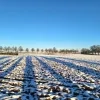 weerfoto Lennik