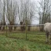 weerfoto Opwijk