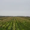 weerfoto Londerzeel