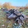 weerfoto Roosdaal