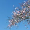 weerfoto Affligem