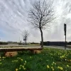 weerfoto Roosdaal