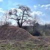 weerfoto Roosdaal