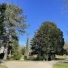 weerfoto Wemmel