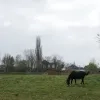 weerfoto Opwijk