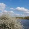 weerfoto Affligem