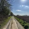 weerfoto Lennik