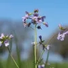 weerfoto Roosdaal
