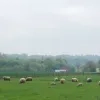 weerfoto Asse