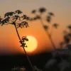 weerfoto Roosdaal