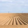 weerfoto Roosdaal