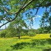 weerfoto Roosdaal