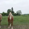 weerfoto Opwijk
