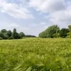 weerfoto Roosdaal