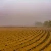 weerfoto Roosdaal