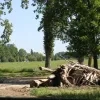 weerfoto Merchtem