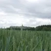 weerfoto Affligem