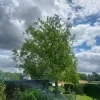 weerfoto Merchtem