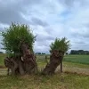 weerfoto Roosdaal