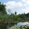 weerfoto Opwijk