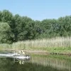weerfoto Liedekerke