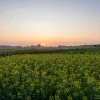 weerfoto Roosdaal