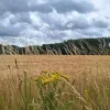 weerfoto Roosdaal