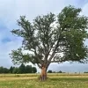 weerfoto Roosdaal