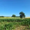 weerfoto Lennik