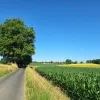 weerfoto Lennik