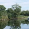 Liedekerke
