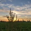 weerfoto Roosdaal