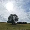 weerfoto Roosdaal
