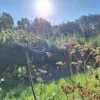 weerfoto Roosdaal