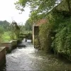 rivier_de_laan_overijse.png
