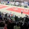 sporthal_halle.png