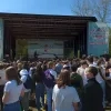 stressfactor_roosdaal.jpeg