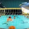 waterpolo.png