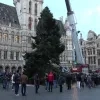 kerstboom_brussel.png